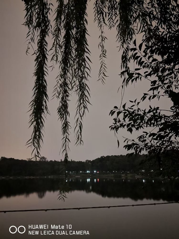 深秋的私语,美文美图经典欣赏