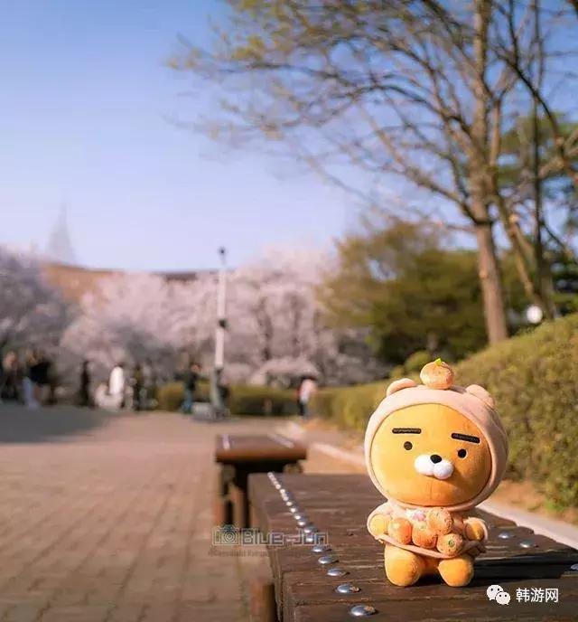 去济州岛一定要买返程票吗,去济州岛一定得去免税店吗