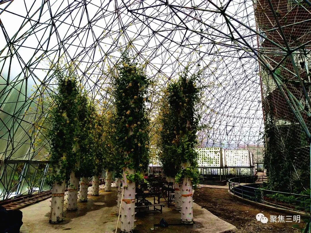 中国绿都最氧的三明将乐,中国绿都最氧三明康养之旅