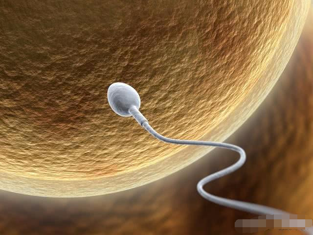 什么样的男人容易受孕,什么样的男人容易让女人聪明