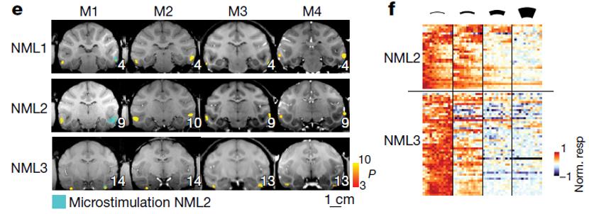 nature发现背后的机制,nature详细解析