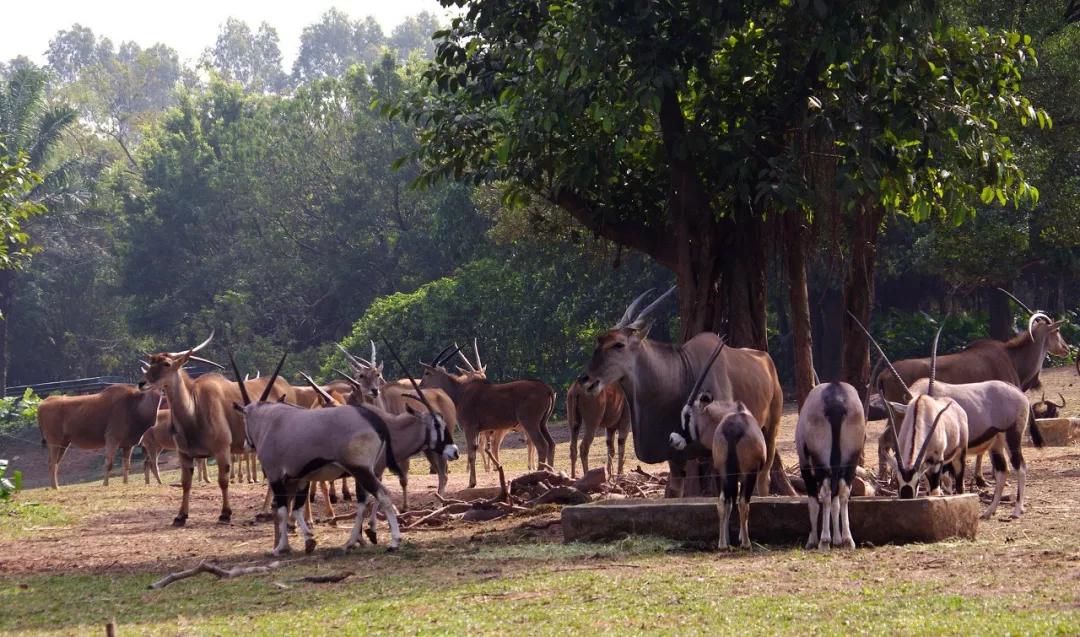 北京冬天亲子旅游攻略,8个国内亲子游旅行地推荐