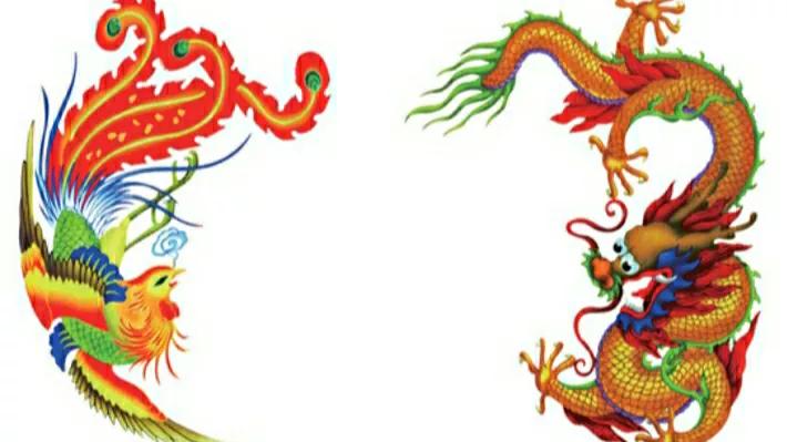 凤凰涅槃到底是什么样的一个情景