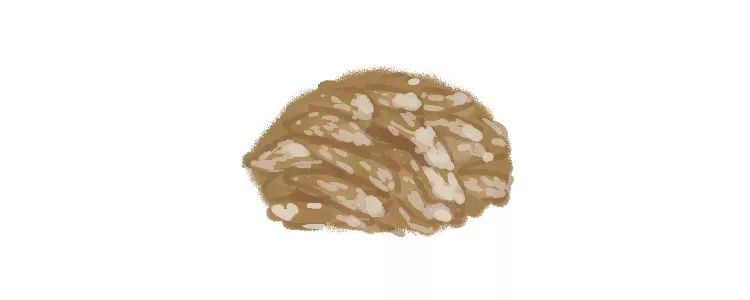 呼和浩特奶萌兽：足球摔跤样样行，体育课代表非他莫属丨Mr.Data