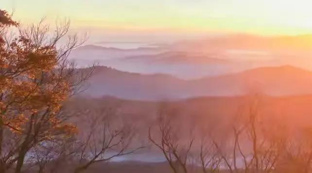 写秋韵的古诗有哪些,学生时代学过描写秋风节气的古诗