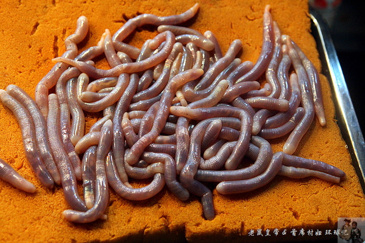 去中越边境自驾游哪一段最美,介绍中越边关地区适合自驾游景点