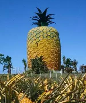 世界上最奇特的100个地方,世界十大奇特的景点