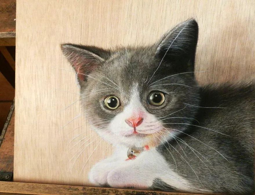 3d立体画写实彩铅,超写实彩铅手绘细腻的让人咋舌