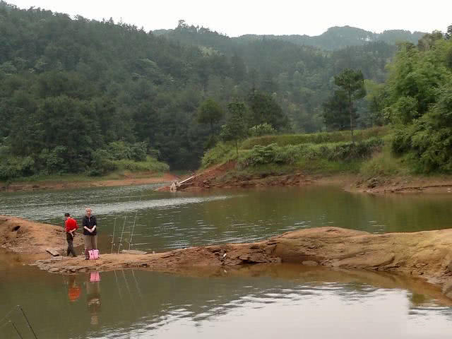 钓鱼人的困惑,这种健鲤和平常鲤鱼不一样吗?