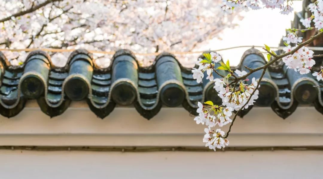 一到节气就生病,一到季节交替就犯胃病