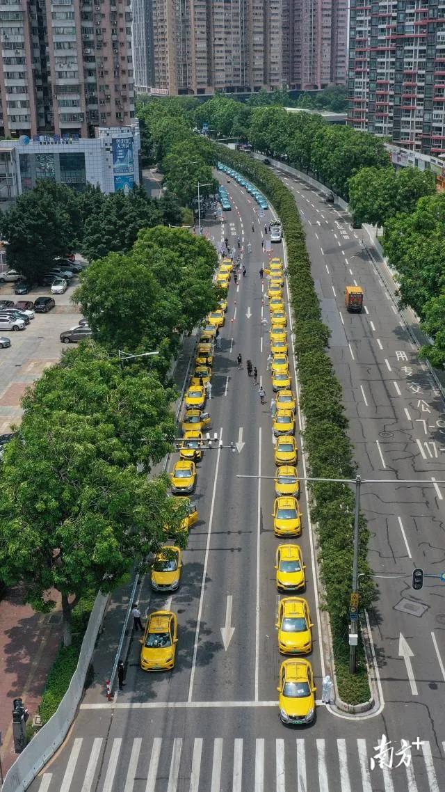 戒早茶、送靓汤……广东的高考为啥这么特别?