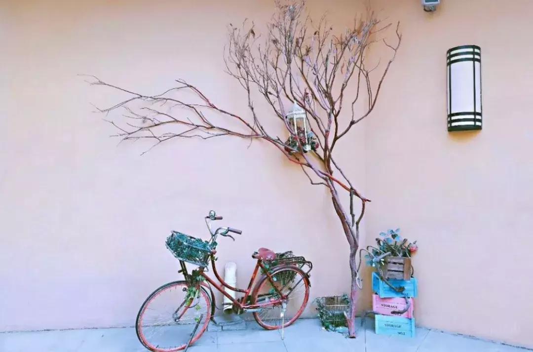 西安打卡景点和网红地,西安最近最火的打卡圣地