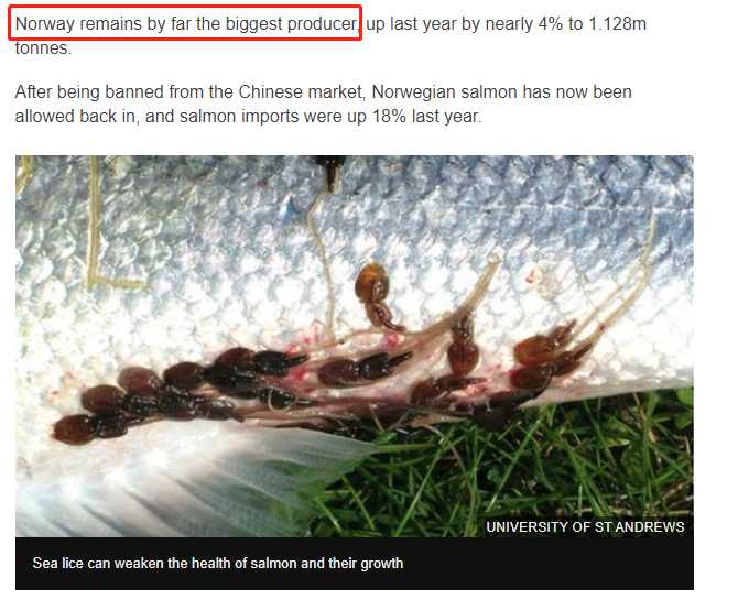 日本三文鱼寄生虫感染,三文鱼寄生虫能杀死吗