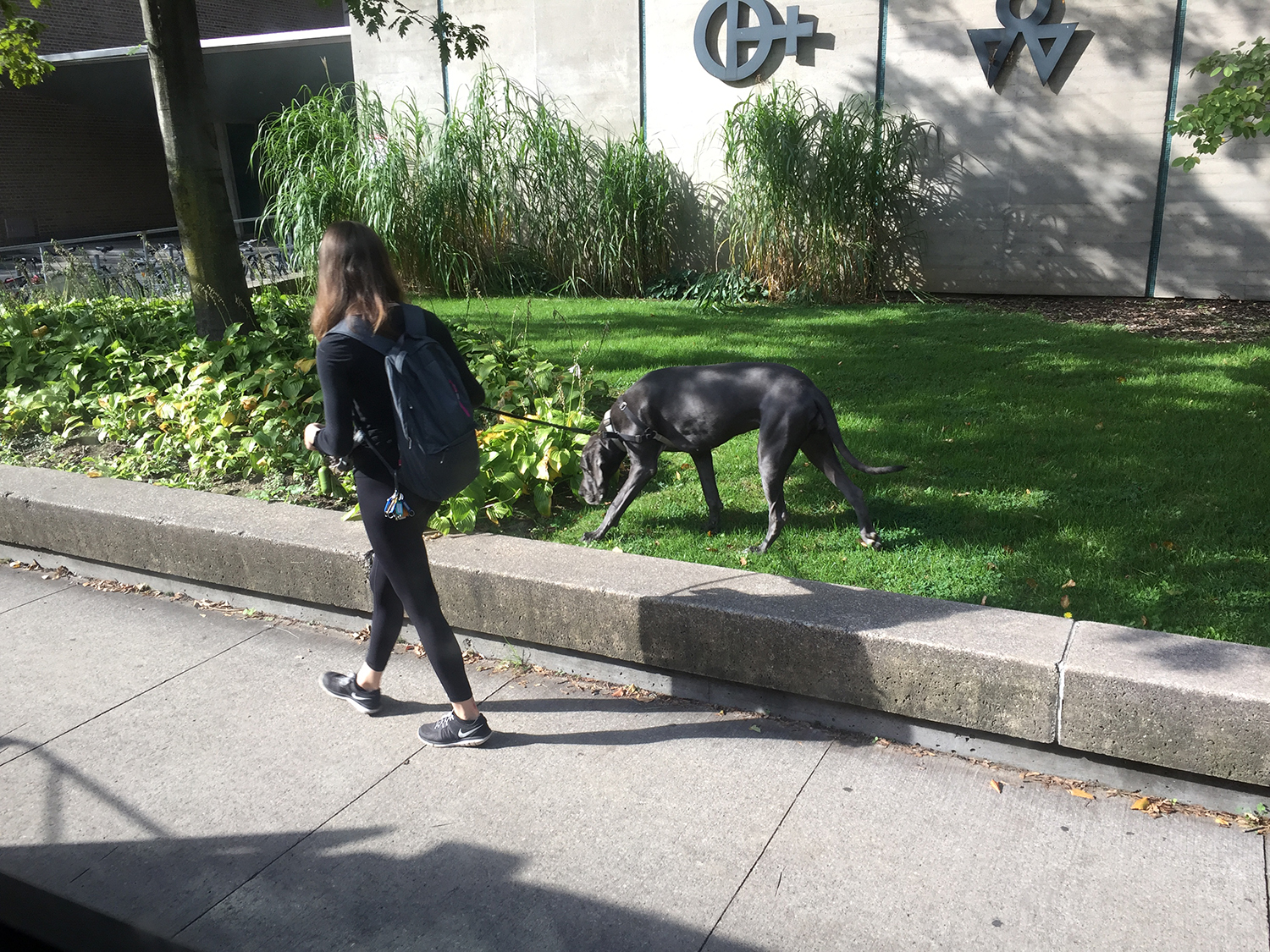 关于多伦多,多伦多大学真的很好吗