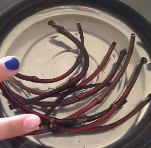 随便砍竹子做金箍棒,随便捡一节树枝雕刻木剑