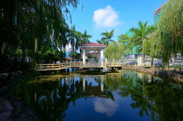 从“民校”到“名校”，小编带你看盛兴