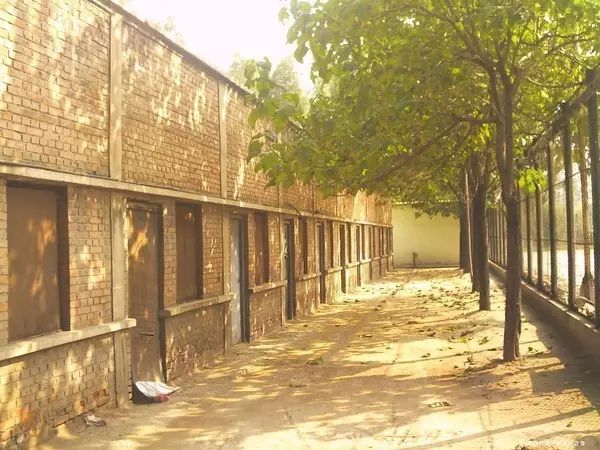 经纬厂小上海,榆次小王国