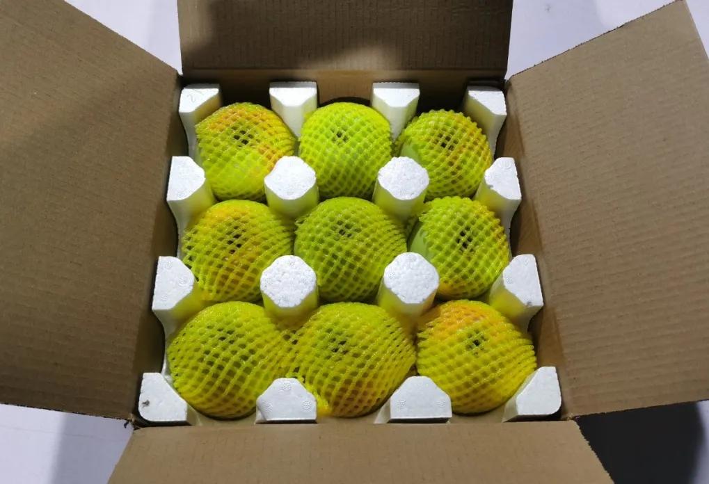 苹果嫁接什么水果好,苹果必须嫁接才好吃吗