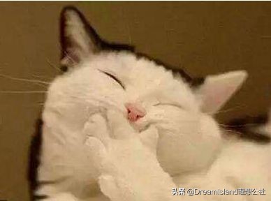 beauty公信榜面膜第一名,平价最好用去角质深层清洁面膜