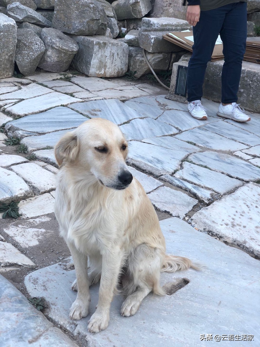 远走土耳其,我在星月之国上天入海(三)