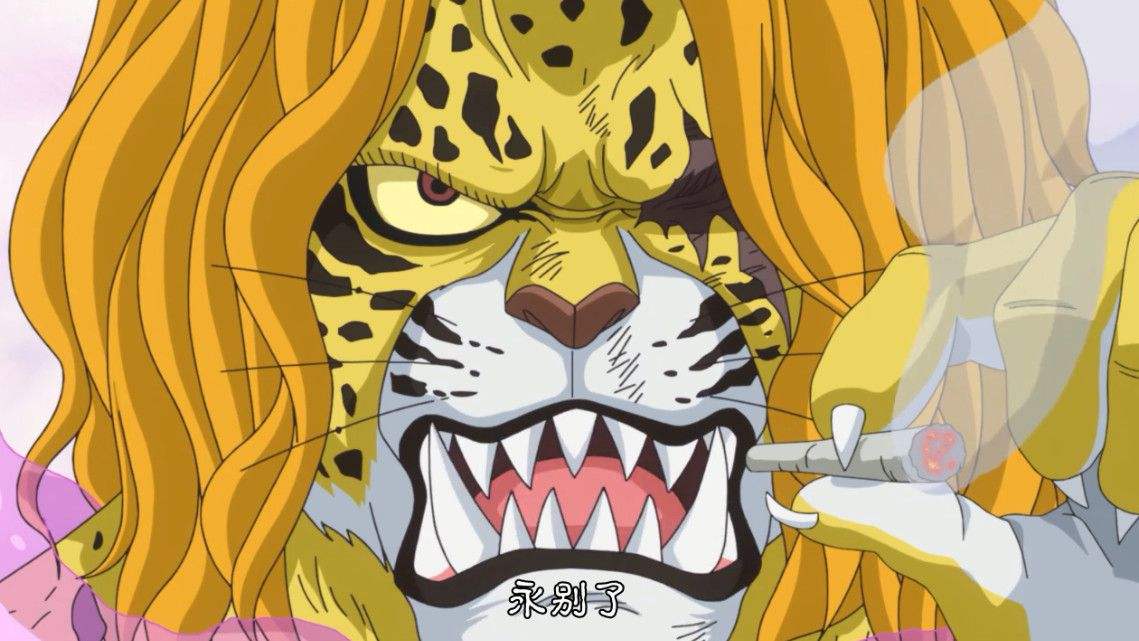 海贼王兔子加洛特最后去哪了,海贼王加洛特最后上哪去啦