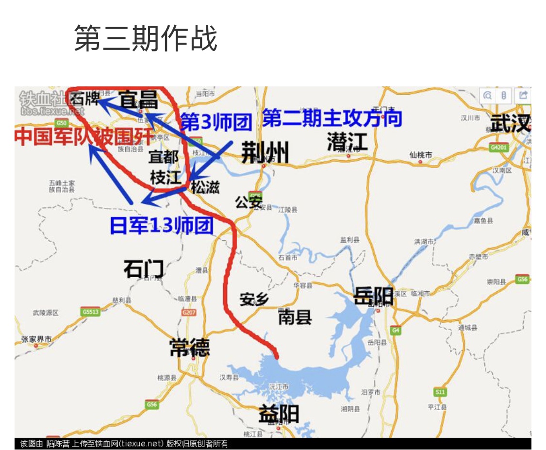 樱花死亡的故事,樱花死亡原因分析