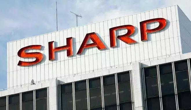 从捡垃圾到世界冠军电影视频,从捡垃圾开始到世界首富在线观看