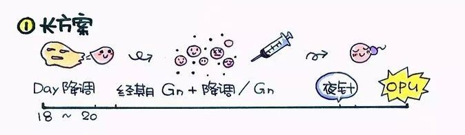 掌握3大点,读懂“试管婴儿”!