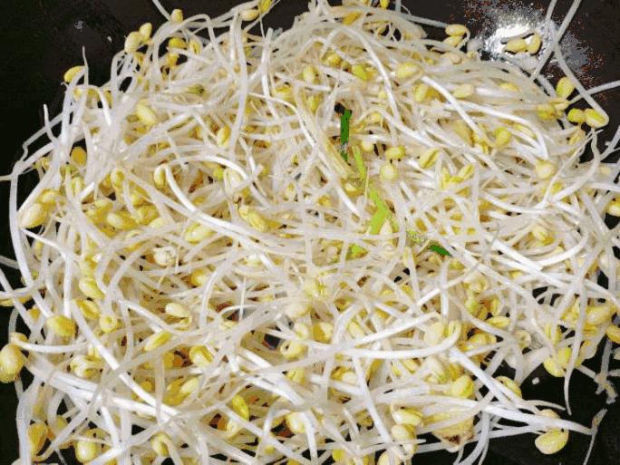 豆芽神奇之处,营养好又美味的豆芽