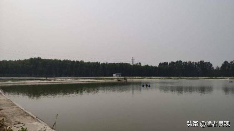 臭底黑坑怎么玩,黑坑底部污染严重怎么钓