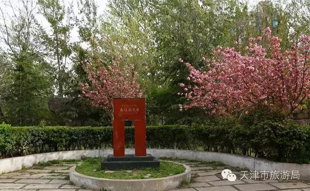 天津除了桃花堤哪里还有桃花,天津看桃花的北运河桃花堤