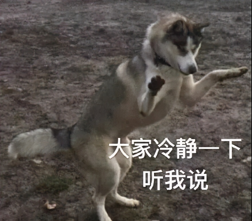 东哥的鬼片,东哥的电脑