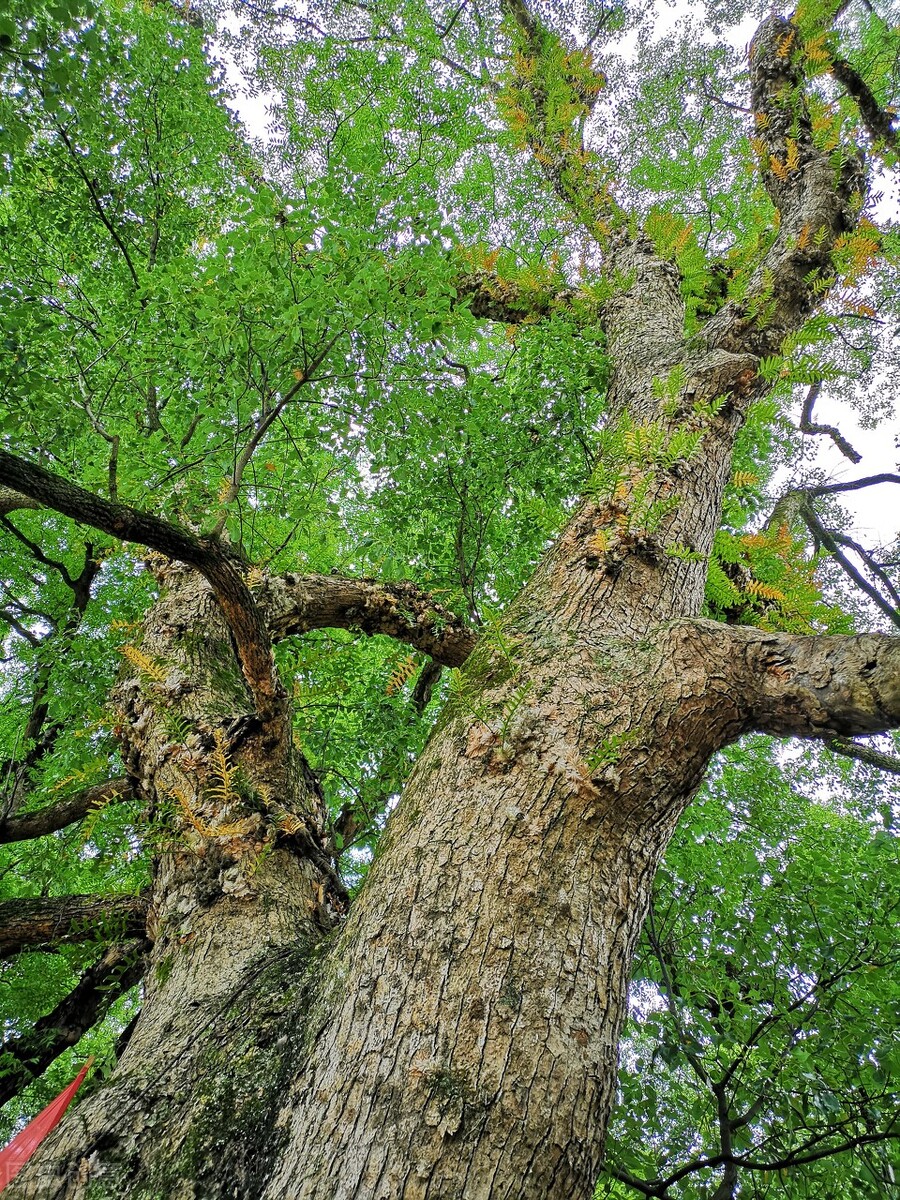 散文农耕文化,散文乌蒙山水