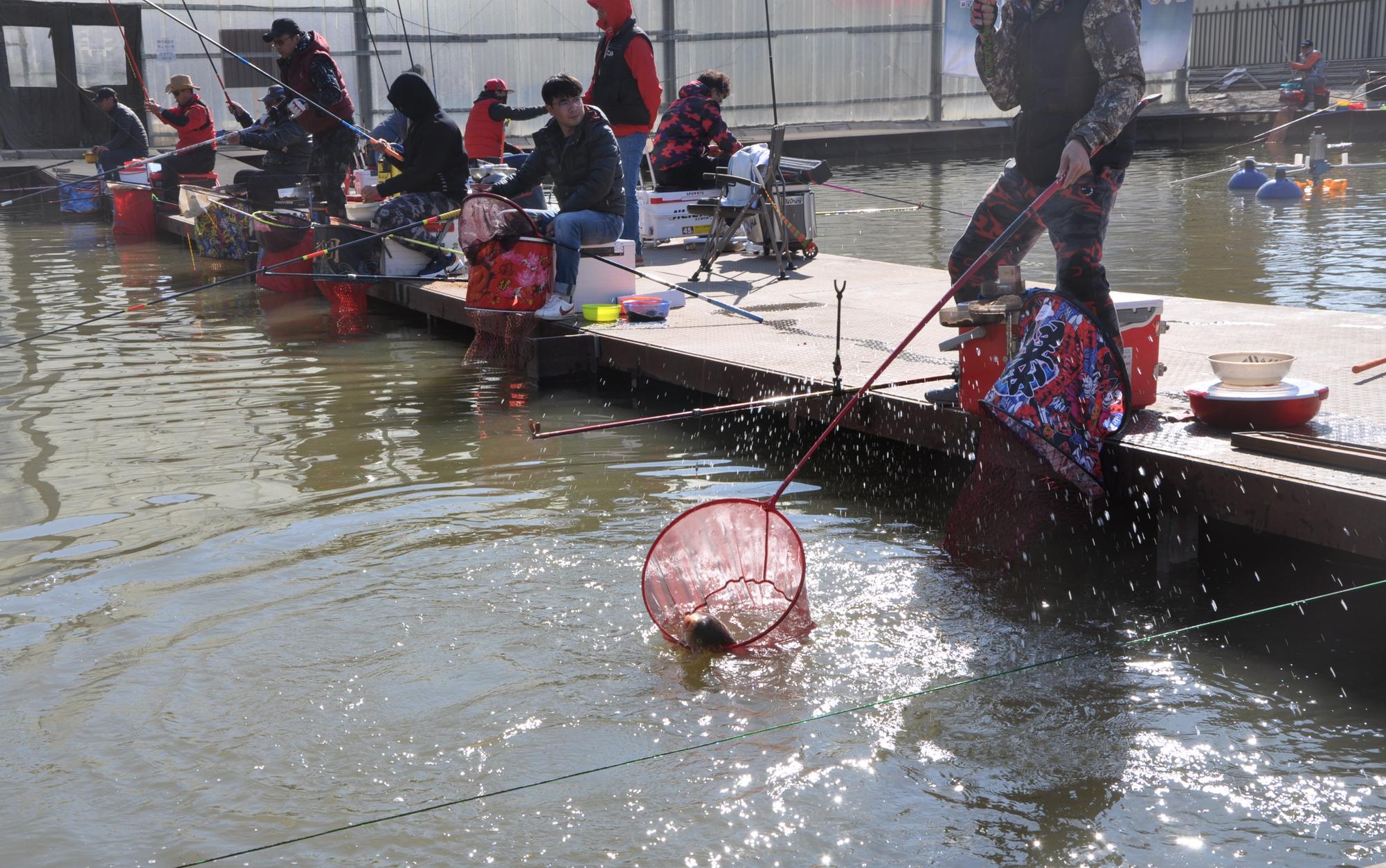 2019黑坑钓鱼比赛直播视频,黑坑钓鱼比赛2019完整视频