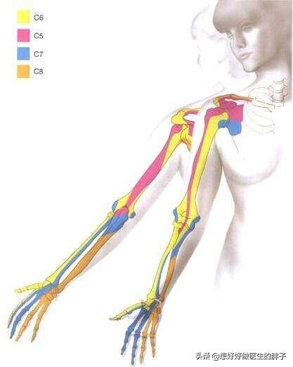 左肩疼痛是什么病的预兆,左肩疼痛要警惕什么病