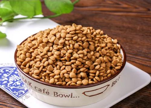 比熊一直拉肚子呕吐怎么办,比熊吃鸭子会拉稀吗