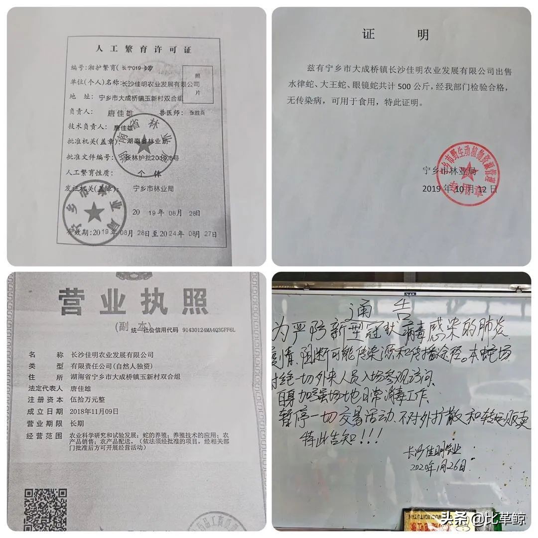 现在长沙还有口味蛇吃吗,湖南姜辣口味蛇