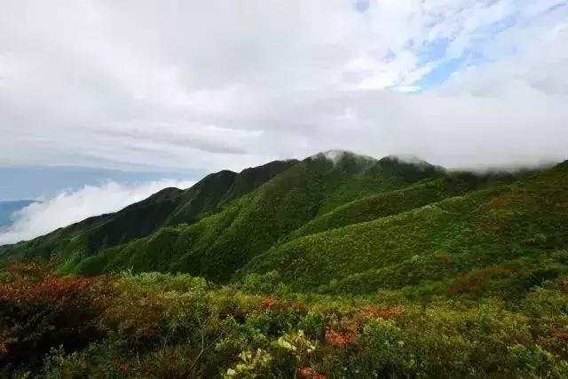 惠州海边无边泳池酒店推荐,惠州网红无边泳池酒店推荐
