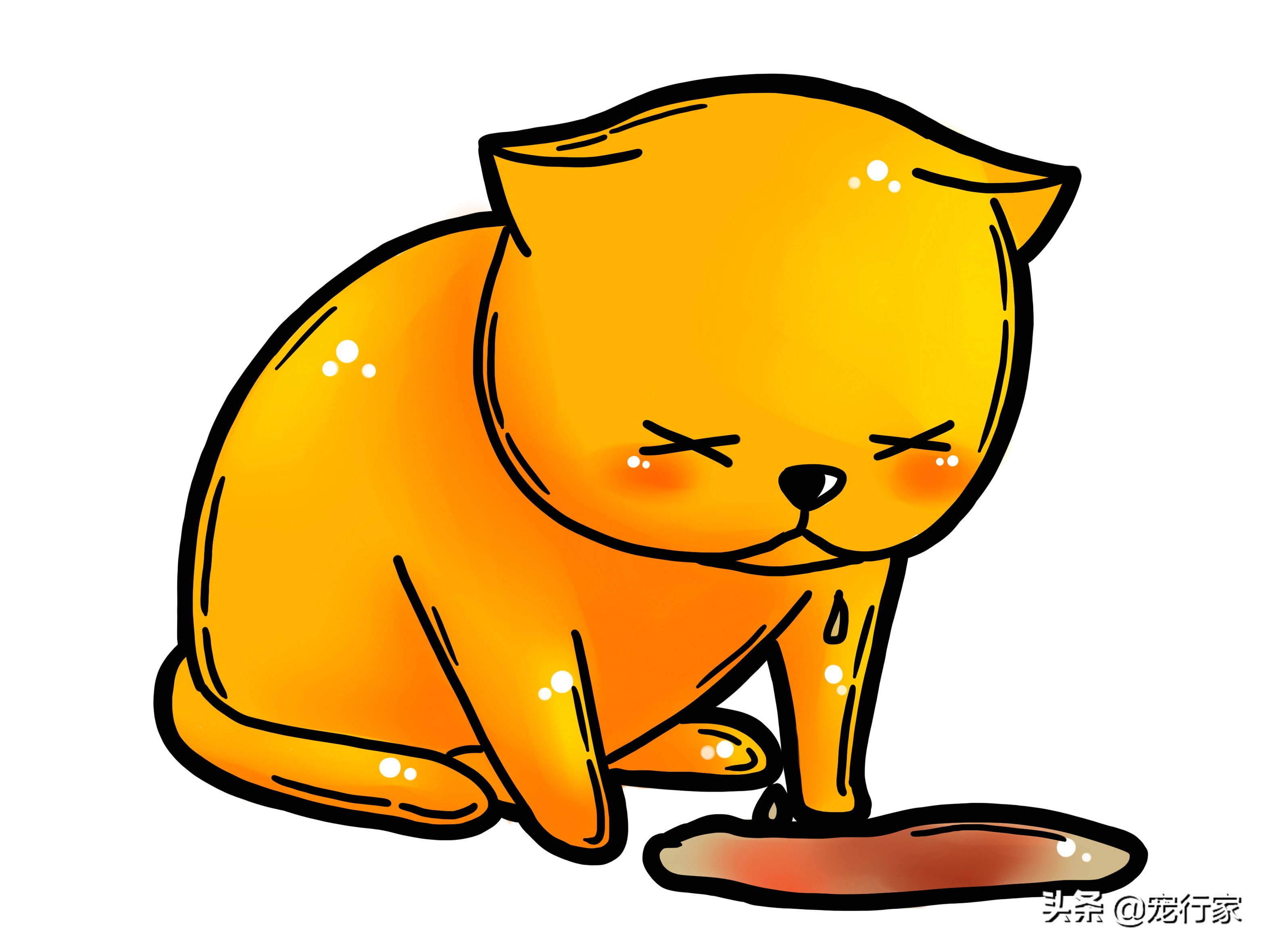 猫为什么会呕吐？如果我家猫呕吐了，我该怎么办？