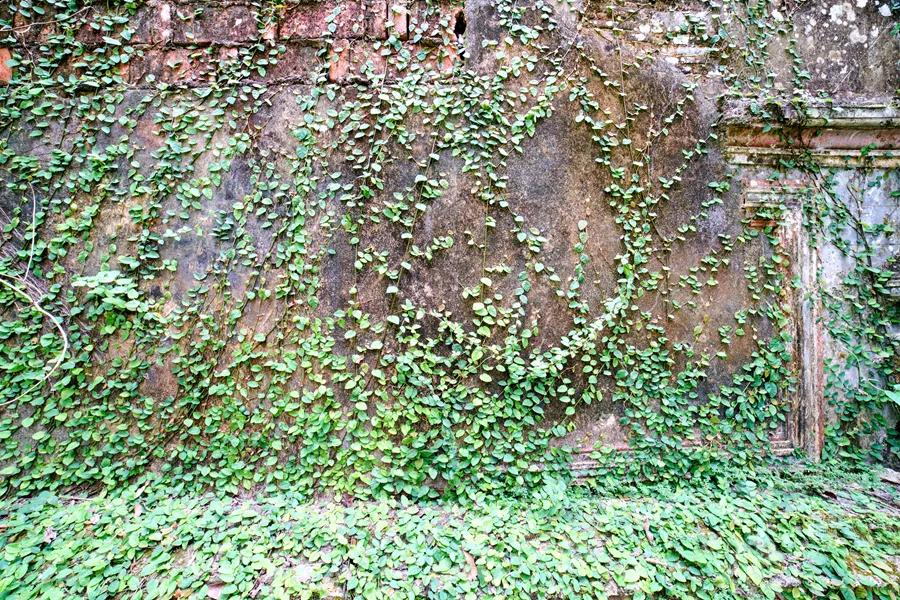 海南省文昌市符家宅,文昌市符家宅