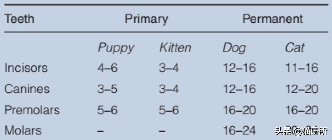 猫咪全项检查都有什么,猫咪的17项基础检查