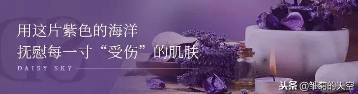 薰衣草的美丽世界,薰衣草的世界真漂亮