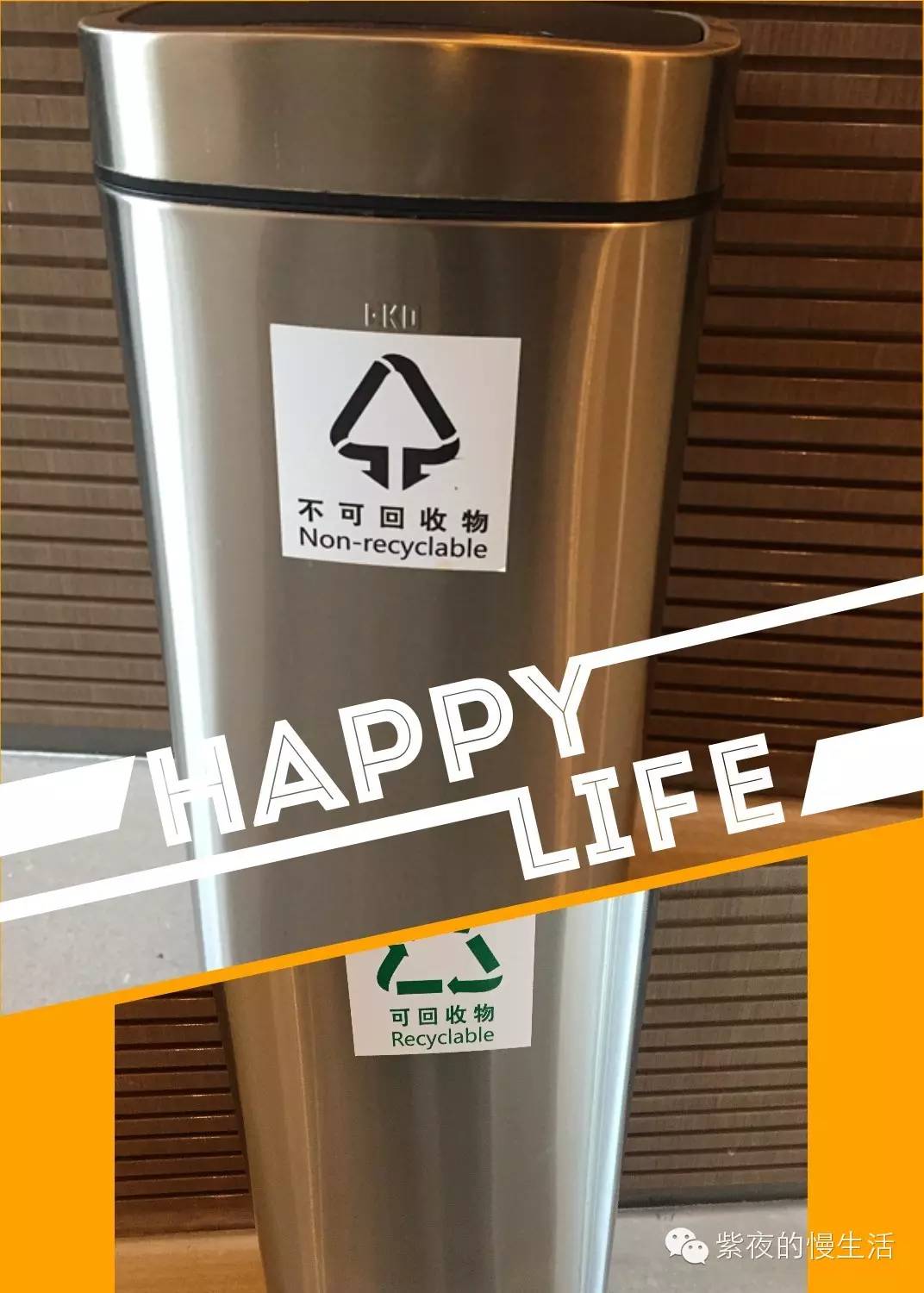 苏州带宠物去的古镇,苏州小众宠物乐园推荐