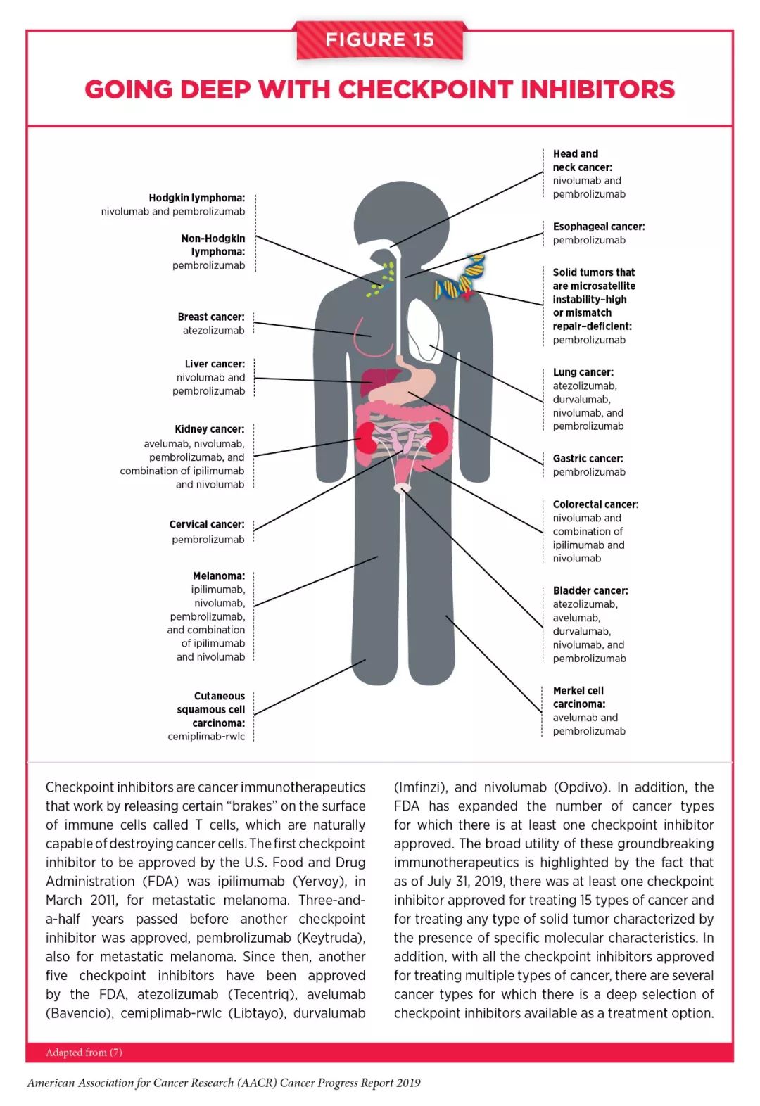 美国癌症学会公布的5年存活率,美国癌症协会公布9大防癌建议