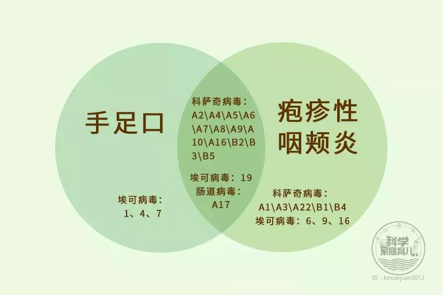 手足口喝利巴韦林管用吗,利巴韦林可以治手足口吗