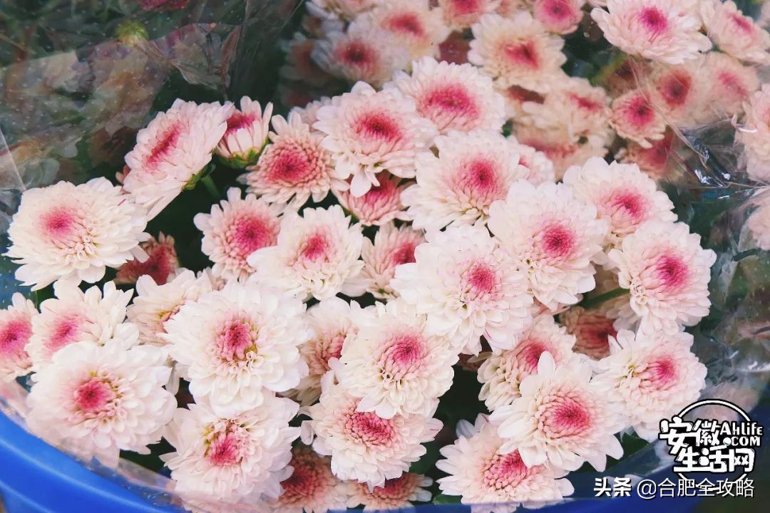 老周谷堆水果批发市场,老周谷堆古玩市场