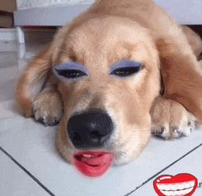 那些年用过的鸡肋韩妆你中枪了吗,用了这么多韩妆后的感受