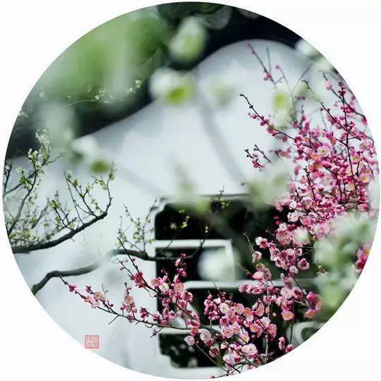 愚人节！来和孩子一起玩个猜成语游戏吧！