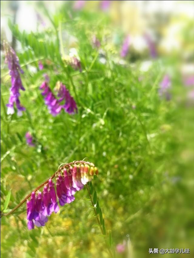 给宝宝洗屁屁时把孩子刮伤,给宝宝洗屁屁如何洗是正确的