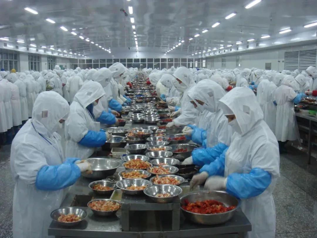 播品牌业绩怎么样,播品牌简介